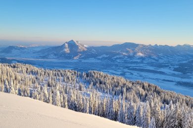 Aussicht auf den Grünten