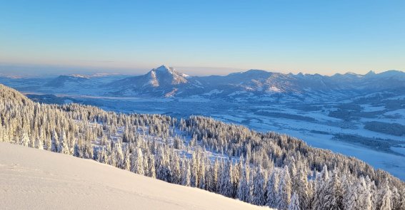 Aussicht auf den Grünten