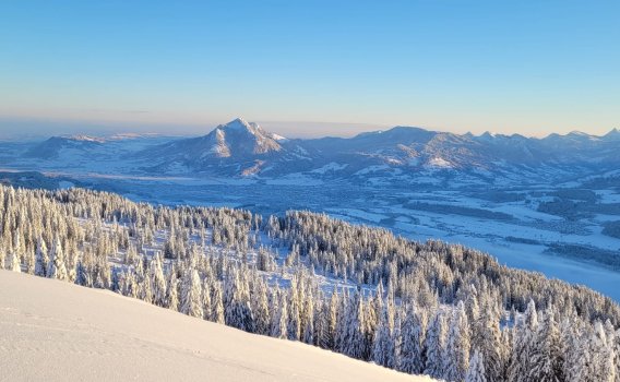 Aussicht auf den Grünten