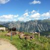 Wandernetz ab Hotel Alpenruhe