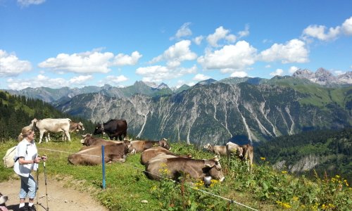 Wandernetz ab Hotel Alpenruhe