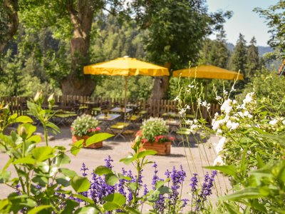 Blick auf den schönen Biergarten