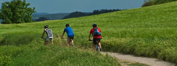 Radfahren im Allgäu