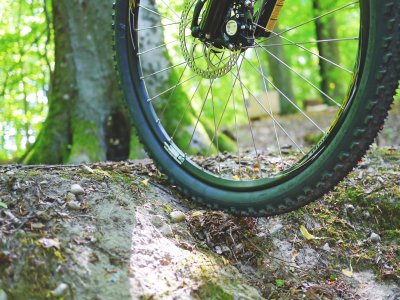 Es geht über Stock und Stein und über Berg und Tal bei einem Mountainbikeurlaub im Allgäu