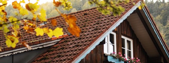 Herbst in Bad Rain