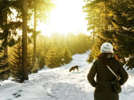 Winterwandern mit Hund