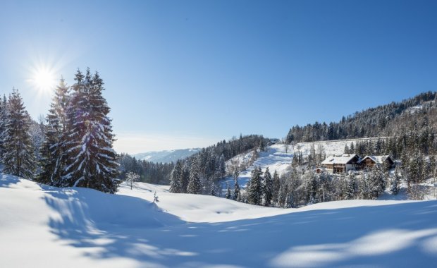 Bild Box 1