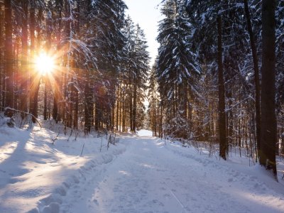 Winterspaziergang