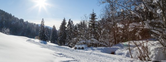 Winterwanderweg Bad Rain