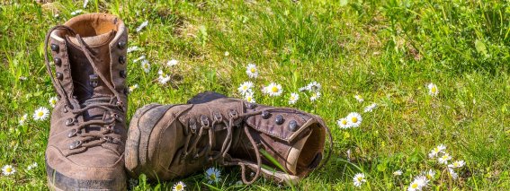 Das Wandern gehört zu den beliebtesten Aktivitäten während des Allgäu-Urlaubes.