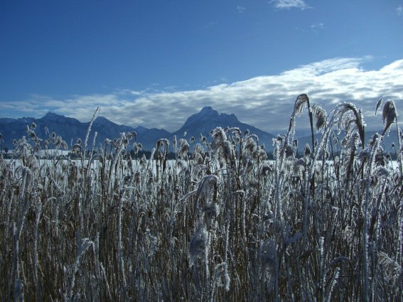 Hopfensee im Winter Im Winter wird es romantisch rund um den Hopfensee
