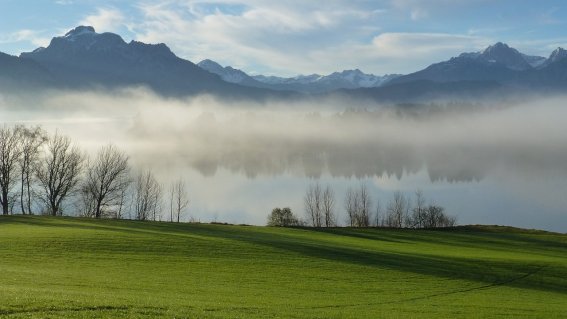 Herbst am Forgensee