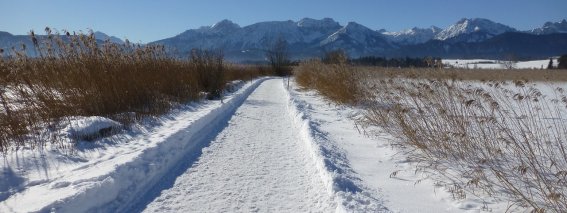 Winterwandern