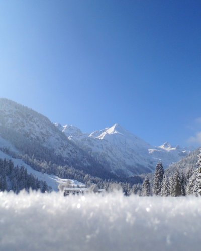Ausblick von der Terrasse des Birgsauer Hof in die Berge.