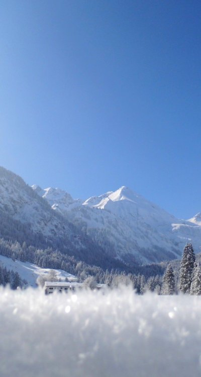 Ausblick von der Terrasse des Birgsauer Hof in die Berge.