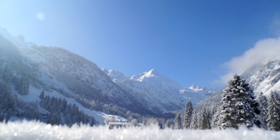 Ausblick von der Terrasse des Birgsauer Hof in die Berge.