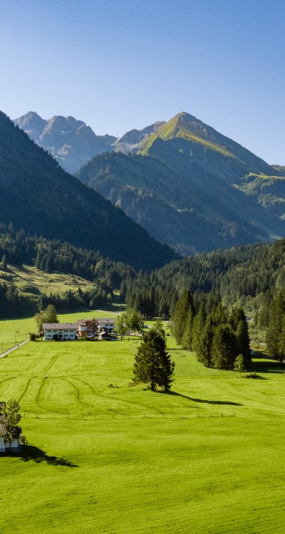 Vom Stillachtal Hotel eröffnet sich ein weiter Blick auf grüne Wiesen, dichte Wälder und die Allgäuer Alpen – ein perfekter Ort für Erholung inmitten der Natur.