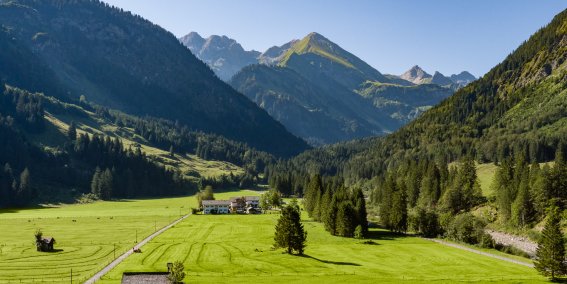 Vom Stillachtal Hotel eröffnet sich ein weiter Blick auf grüne Wiesen, dichte Wälder und die Allgäuer Alpen – ein perfekter Ort für Erholung inmitten der Natur.