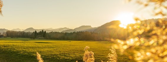 Sommer