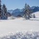 Winterlandschaft