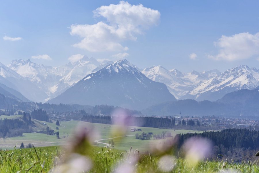 23.04. Schöllanger Burg