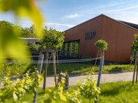 Weingut Klumpp