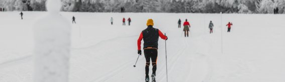 Eine Gruppe von Menschen fährt auf Skiern durch eine verschneite Landschaft. Die Bäume sind frostig und die Atmosphäre ist ruhig.