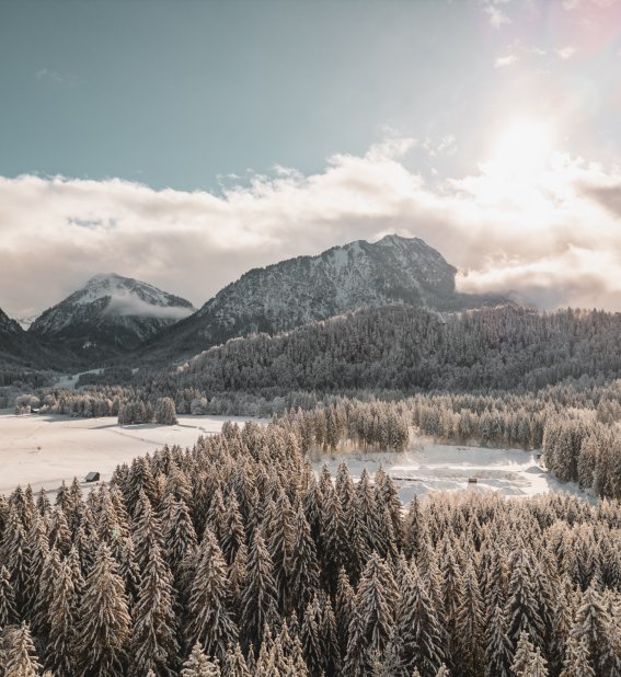 Winterlandschaft mit schneebedeckten Bergen und Wäldern
