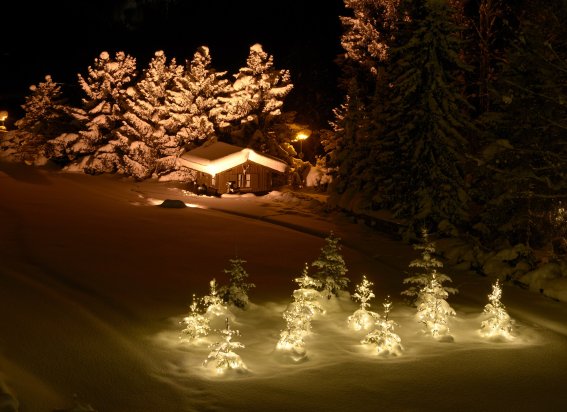 Garten Aussenbereich