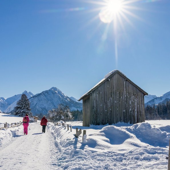 Winterwandern