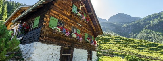 Wildental im Kleinwalsertal