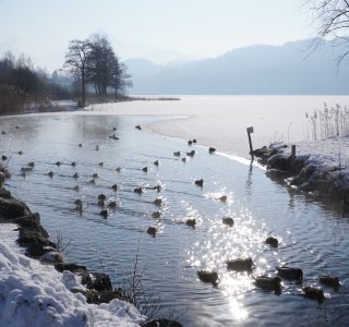 Füssen Winter 6(28) ©Füssen Tourismus und Marketing Gerhard Eisenschink