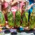 Kräuterwanderung & Kräuterkurs in Osttirol – ALMKRAUT Kräuterschmiede