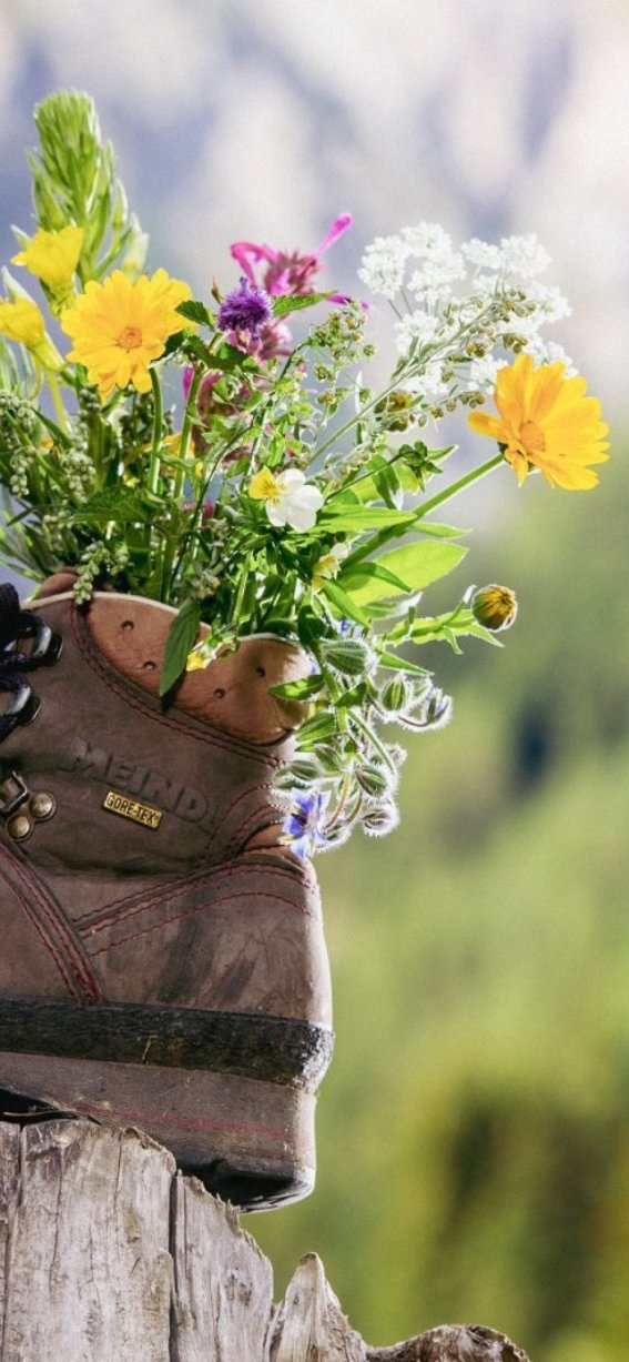 Hotel HEIMAT - Berge in Osttirol-5