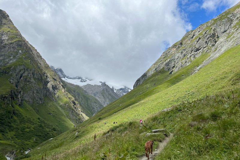 Beeindruckender Blick ins Umbaltal bei Hinterbichl und Prägraten am Großvenediger. Die ursprüngliche Berglandschaft im Nationalpark Hohe Tauern macht das Virgental zu einem besonderen Ausgangspunkt für Wanderungen, Hüttenwanderungen und Bergtouren in Osttirol.