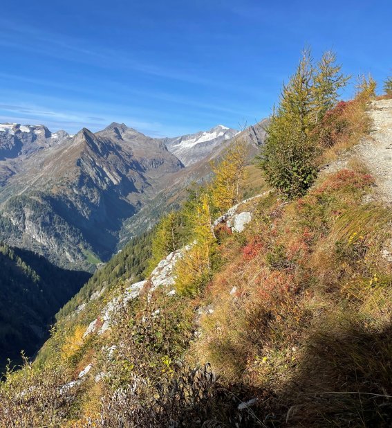 Herbst in Hinterbichl – HEIMAT im Virgental