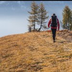 Herbstliche Wanderung am Hochstein bei Lienz in Osttirol. Die farbenprächtige Berglandschaft und die klare Herbstluft machen das Wandern rund um Lienz zu einem besonderen Erlebnis.