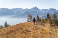Wandern im Herbst Herbstliche Wanderung am Hochstein bei Lienz in Osttirol. Die farbenreiche Berglandschaft rund um Lienz zeigt sich im Herbst besonders stimmungsvoll und lädt zu abwechslungsreichen Wanderungen mit herrlichen Ausblicken auf die Lienzer Dolomiten und die umliegende Bergwelt ein.
