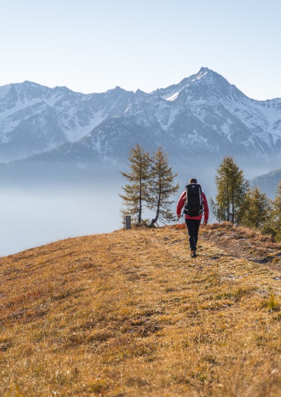 Herbstliche Wanderung am Hochstein bei Lienz in Osttirol. Die farbenreiche Berglandschaft rund um Lienz zeigt sich im Herbst besonders stimmungsvoll und lädt zu abwechslungsreichen Wanderungen mit herrlichen Ausblicken auf die Lienzer Dolomiten und die umliegende Bergwelt ein.