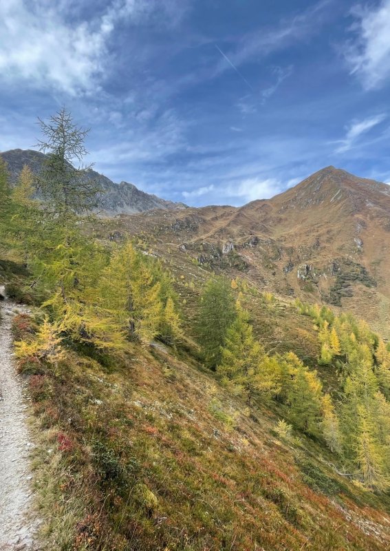 Goldener Herbst in der HEIMAT – das Nature Resort in Hinterbichl bei Prägraten am Großvenediger. Die farbenfrohe Natur und die beeindruckende Bergwelt des Nationalparks Hohe Tauern laden im Herbst zum Wandern, Entdecken und Genießen ein.