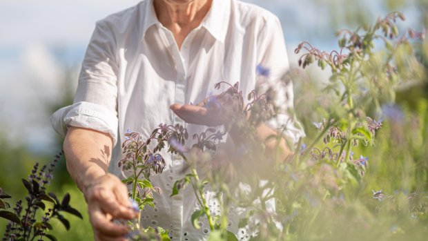 Kräuterhotel Kienle - Silvia im Kräutergarten
