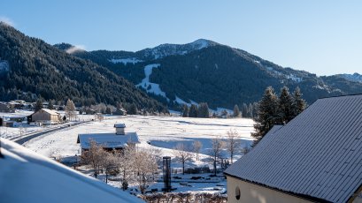 Die Szene zeigt eine Winterlandschaft mit Schnee auf dem Boden und Bergen im Hintergrund. Ein hellblauer Himmel ist zu sehen.