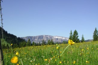 Ein etwas anderer Blick auf die sonst so schroffen Felsen des Ifen.