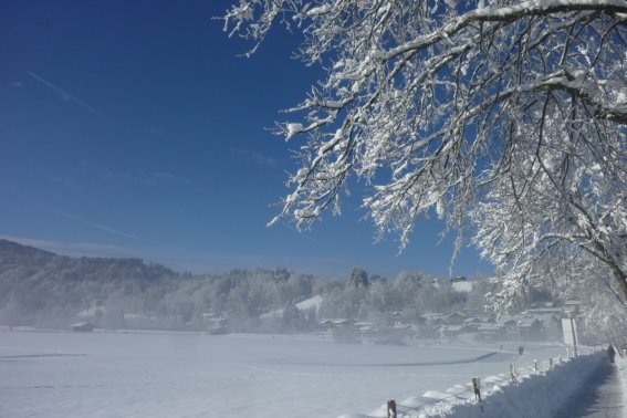 Ist das nicht einladend? Eine unberührte Wiese mit Neuschnee... Da will man doch gleich loslaufen!