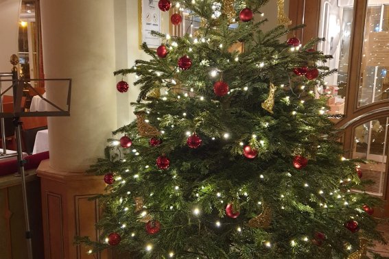 Der geschmückte Weihnachtsbaum