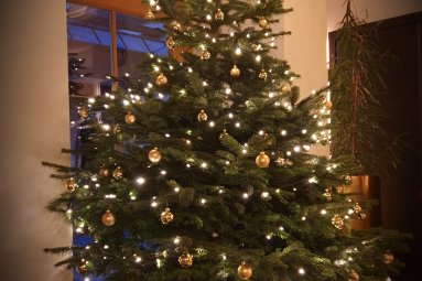 Der Weihnachtsbaum glitzert festlich!