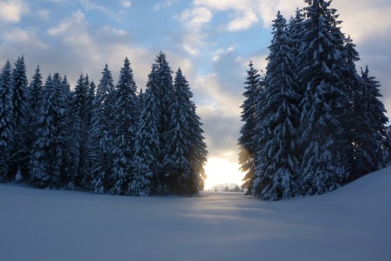 Diese idyllische Landschaft können Sie bei einer Schneeschnuhtour am Söllereck bestaunen.