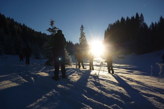 Entdecken Sie Oberstdorf auf leisen Sohlen...