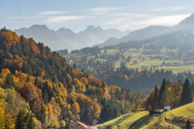 Goldener Herbst im Allgäu