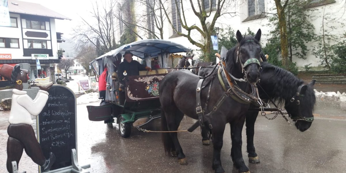 Eine romatische Kutschfahrt durchs Allgäu
